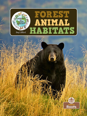 cover image of Forest Animal Habitats